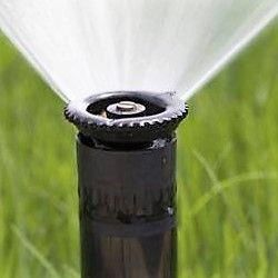 Steve the Irrigation Guy