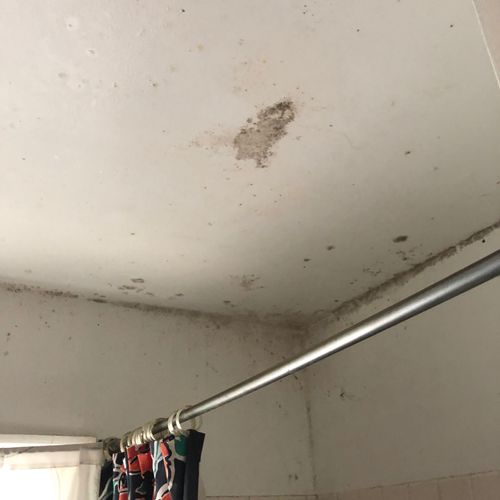 Mold Bathroom Ceiling
