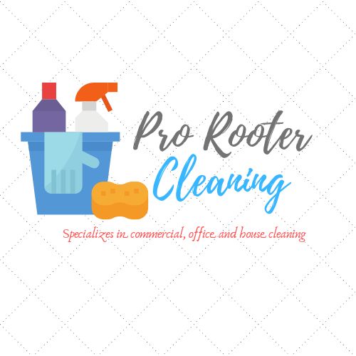 Pro  Rooter Cleaning