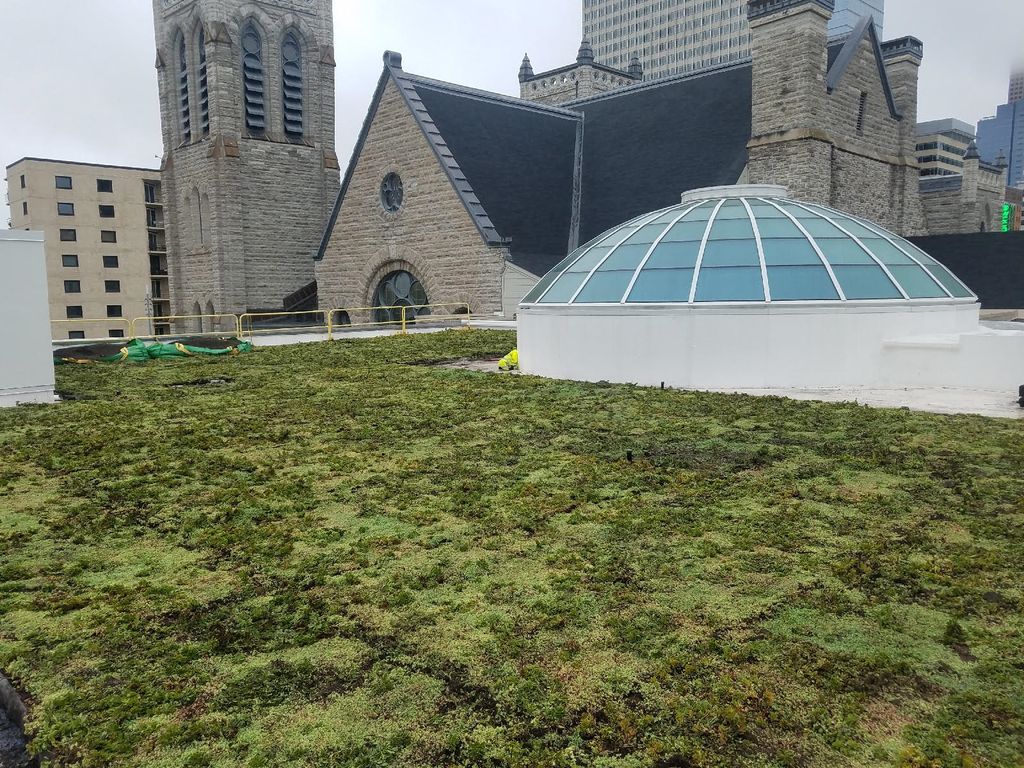 Green Roof
