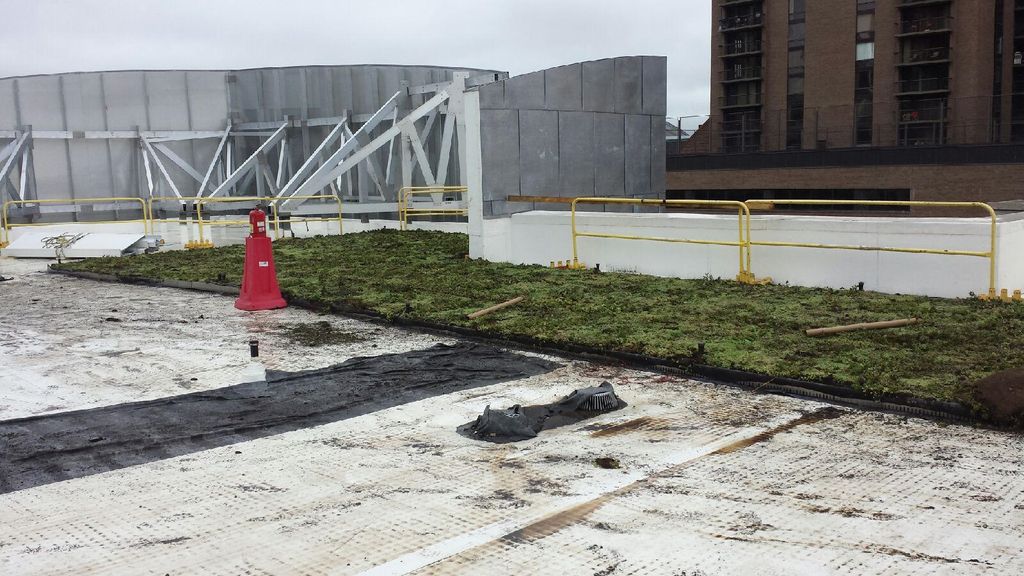 Green Roof