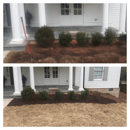 plant installation and mulch