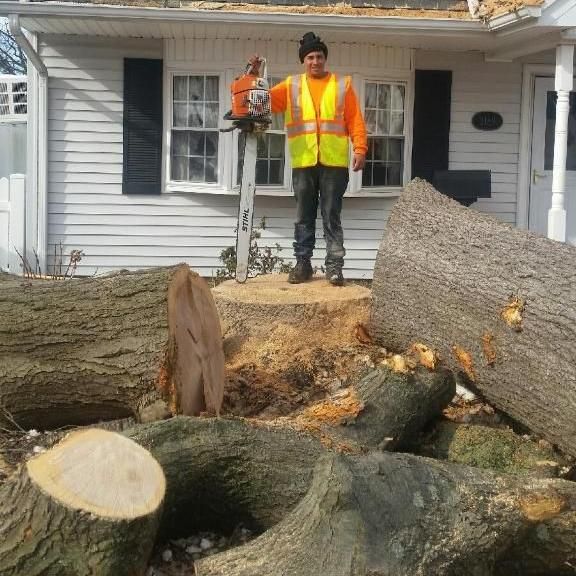 L. A. Tree Service Creative Corp