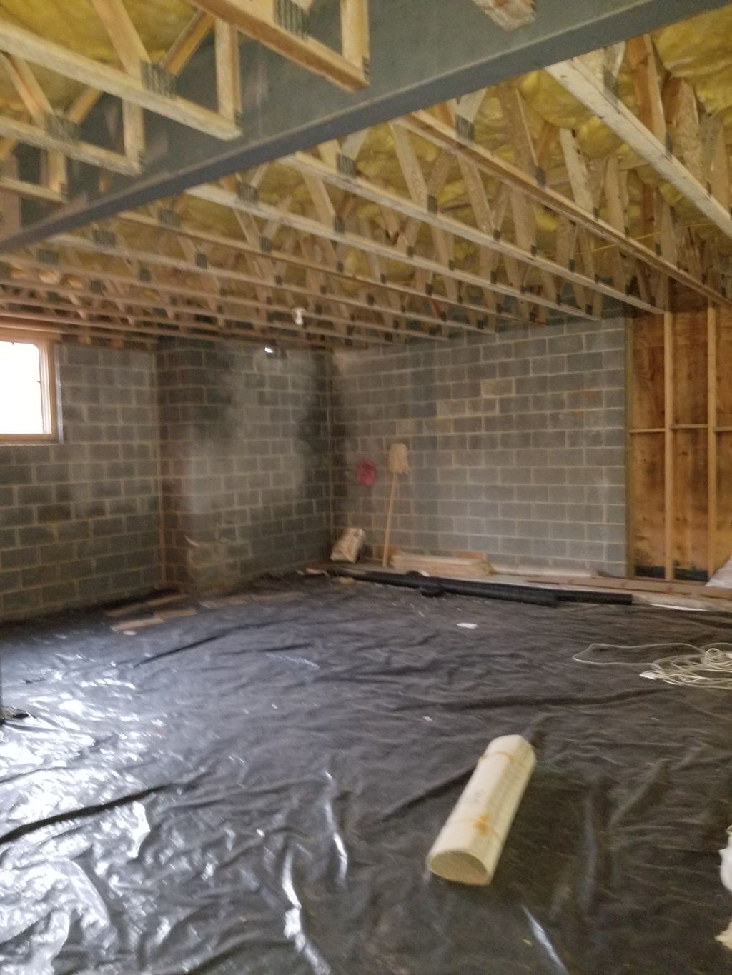 Mold Remediation and Insulation/Vapor Removal & Re