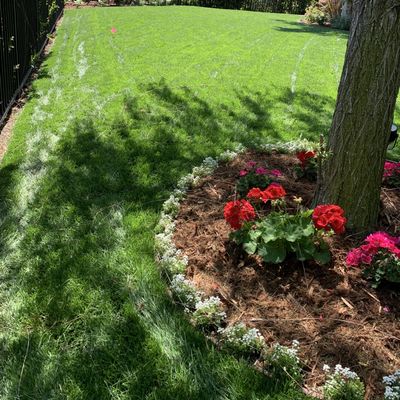 Avatar for Calvillo gardening