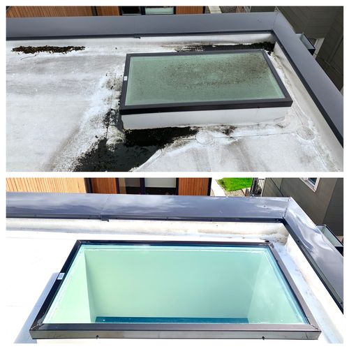 Skylight And Roof Cleaning