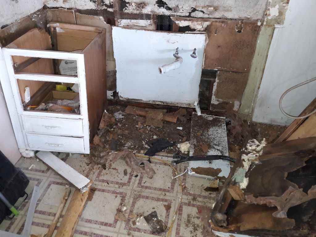 MiaSpgs #2 guess what I found!