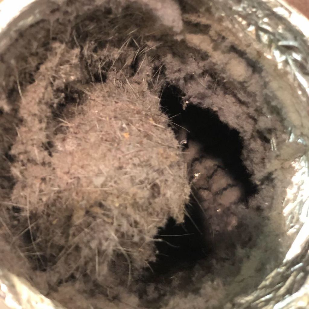Dryer vent before cleaning 