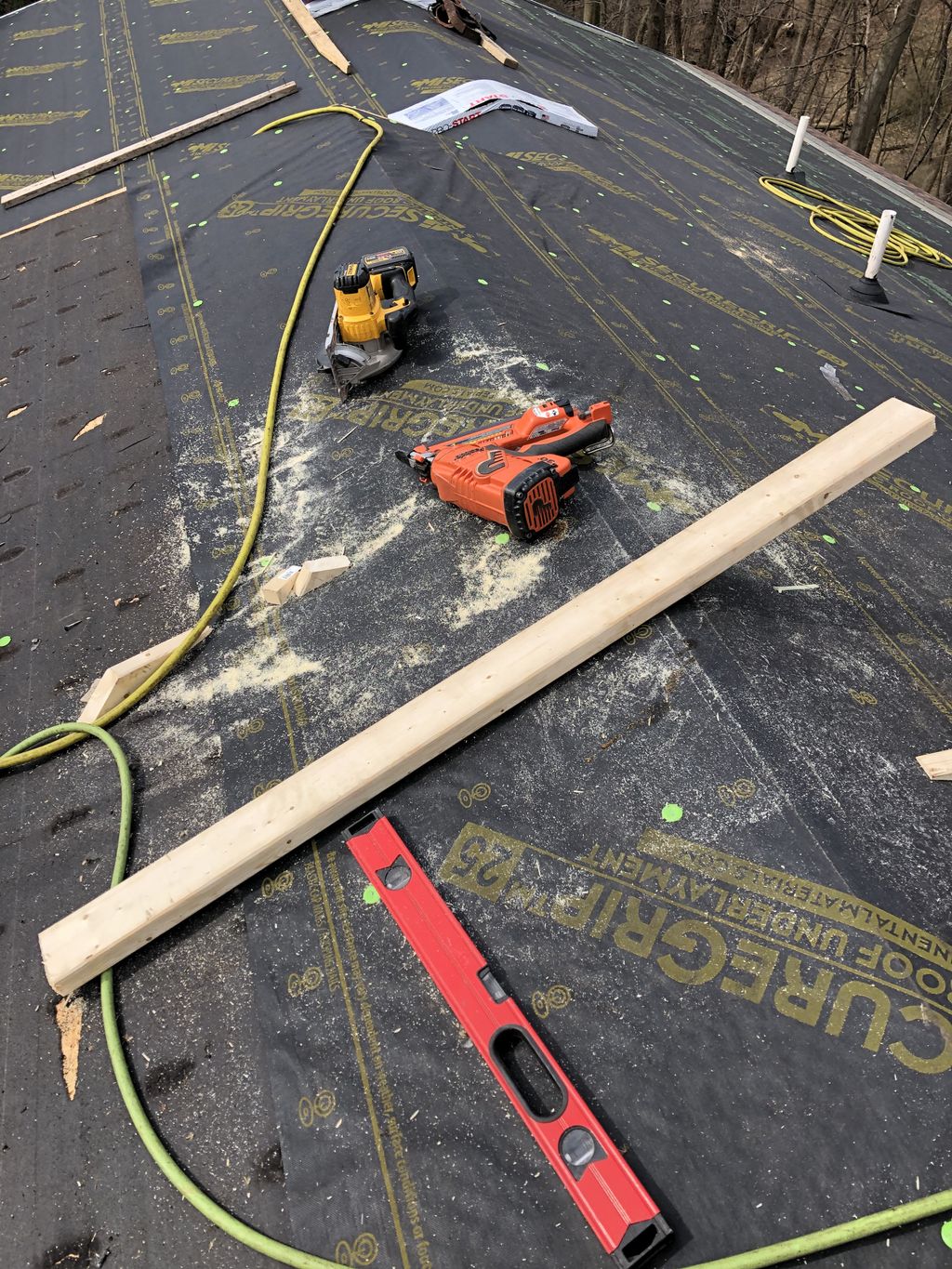 Projects and media
