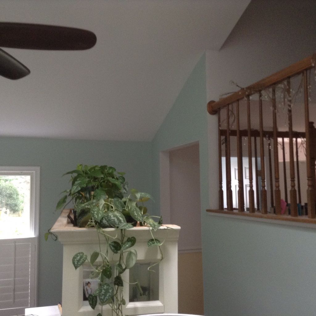 Finished ceiling and walls 