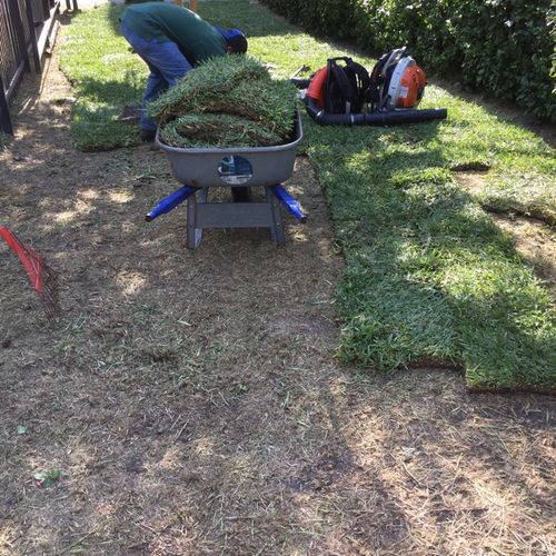 Torres lawn services Houston, TX