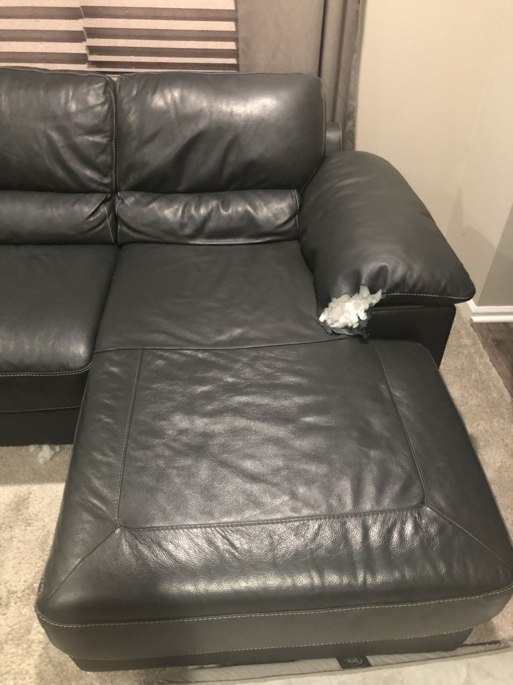 Customer photos