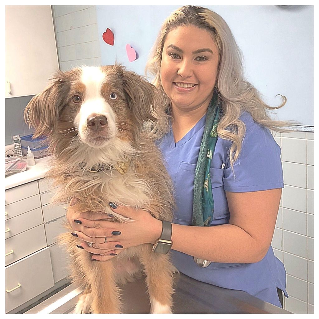 Paws & Claws pet sitting LLC