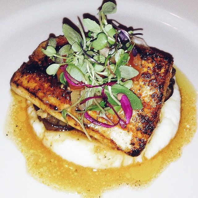 Seared miso glazed swordfish over a fennel purée w