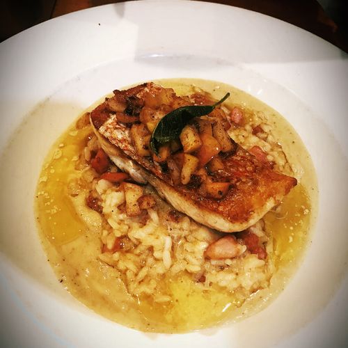 an Seared Red snapper, over a pancetta risotto, to