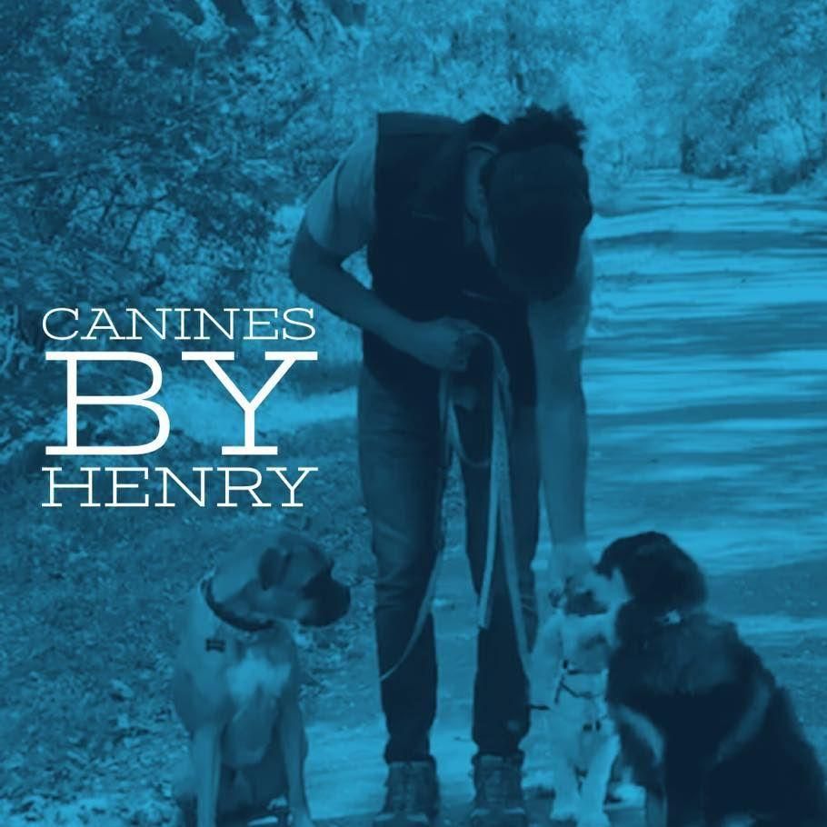 Canines By Henry