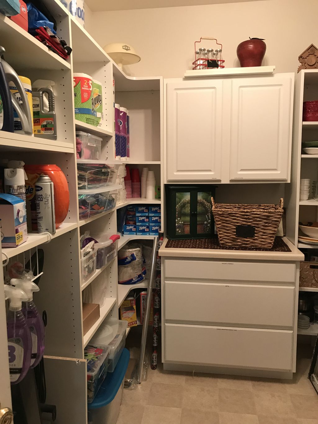 Walk in pantry after organizing.