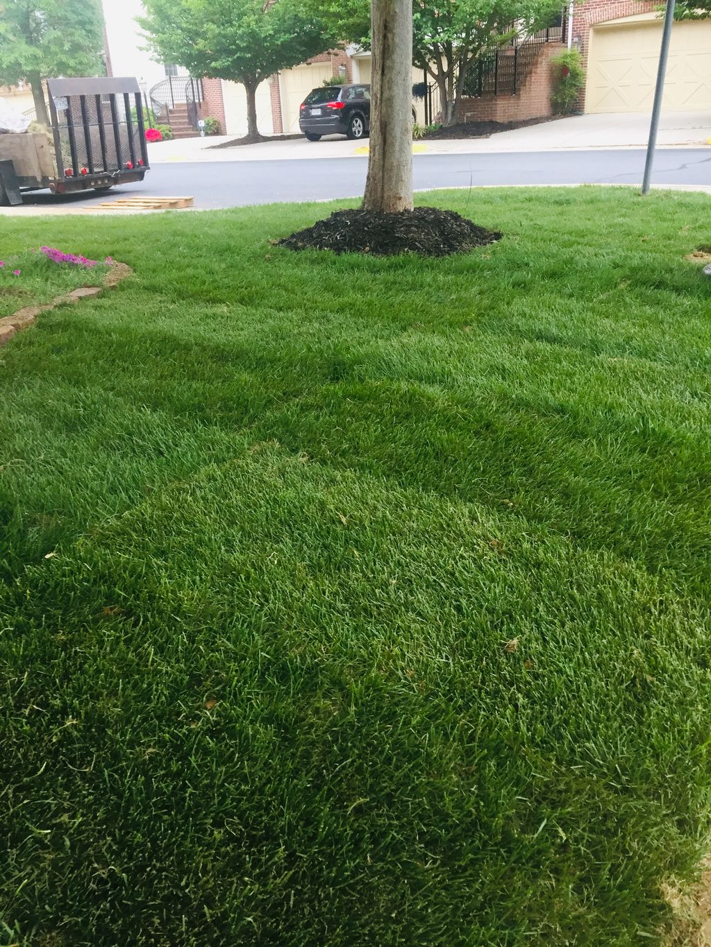 Full Service Lawn Care