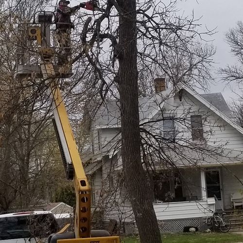 I hired Brett Delp to trim 4 large trees hanging o