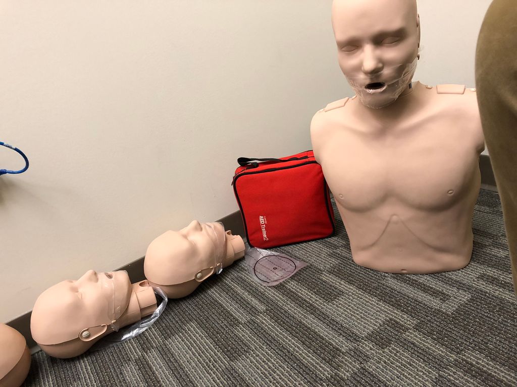 We loose our heads to train you properly