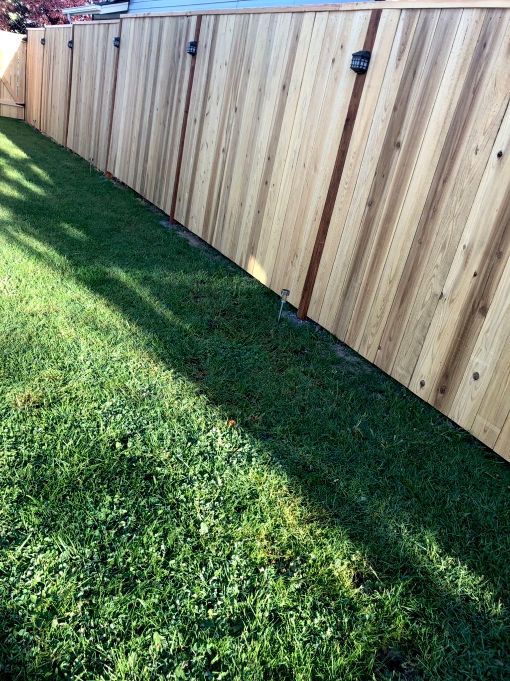 Customer photos