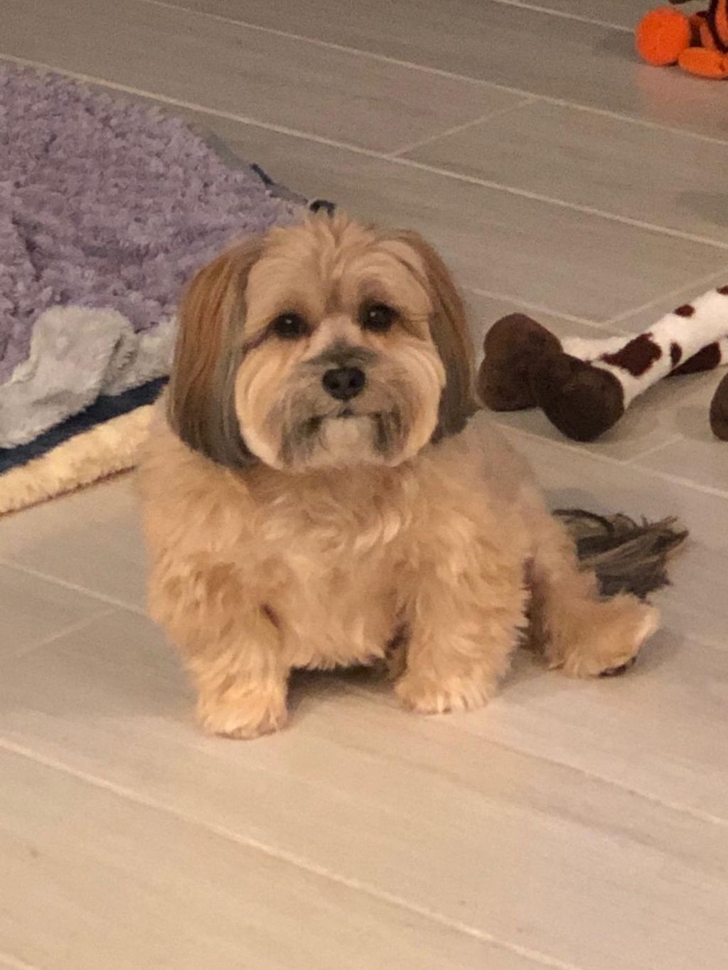 Teddy such a lover!