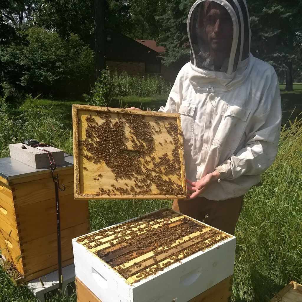 City Bee Savers