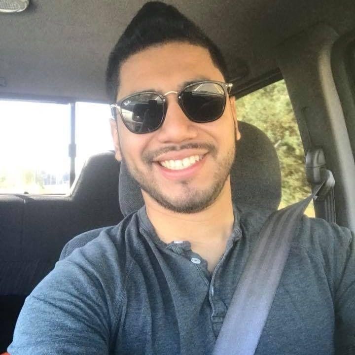 Green Vine Landscape