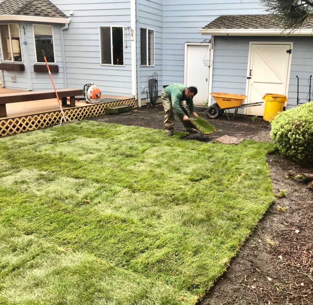 Sod Installation 