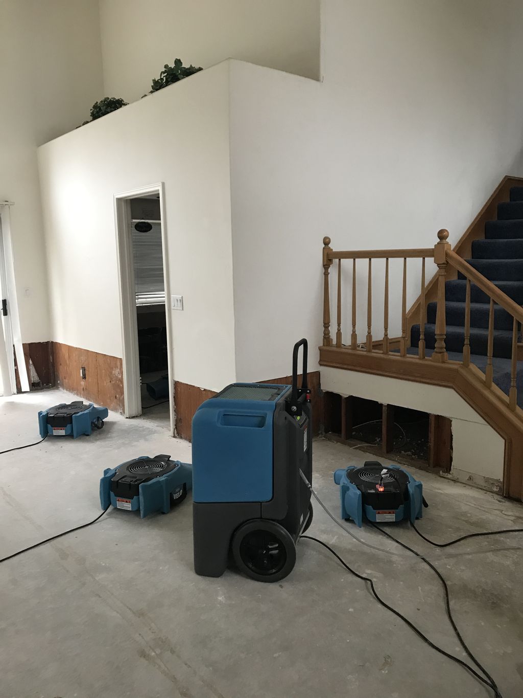 Water Damage & Pack out 