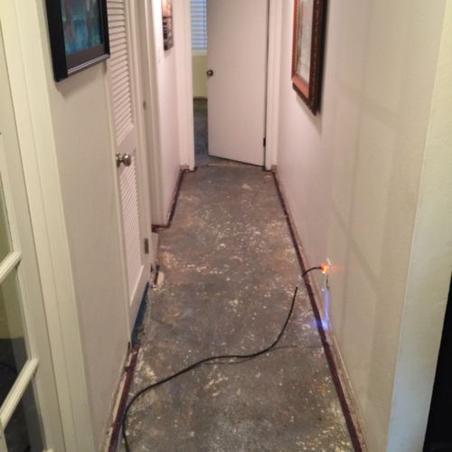 Water Damaged Carpet Removed