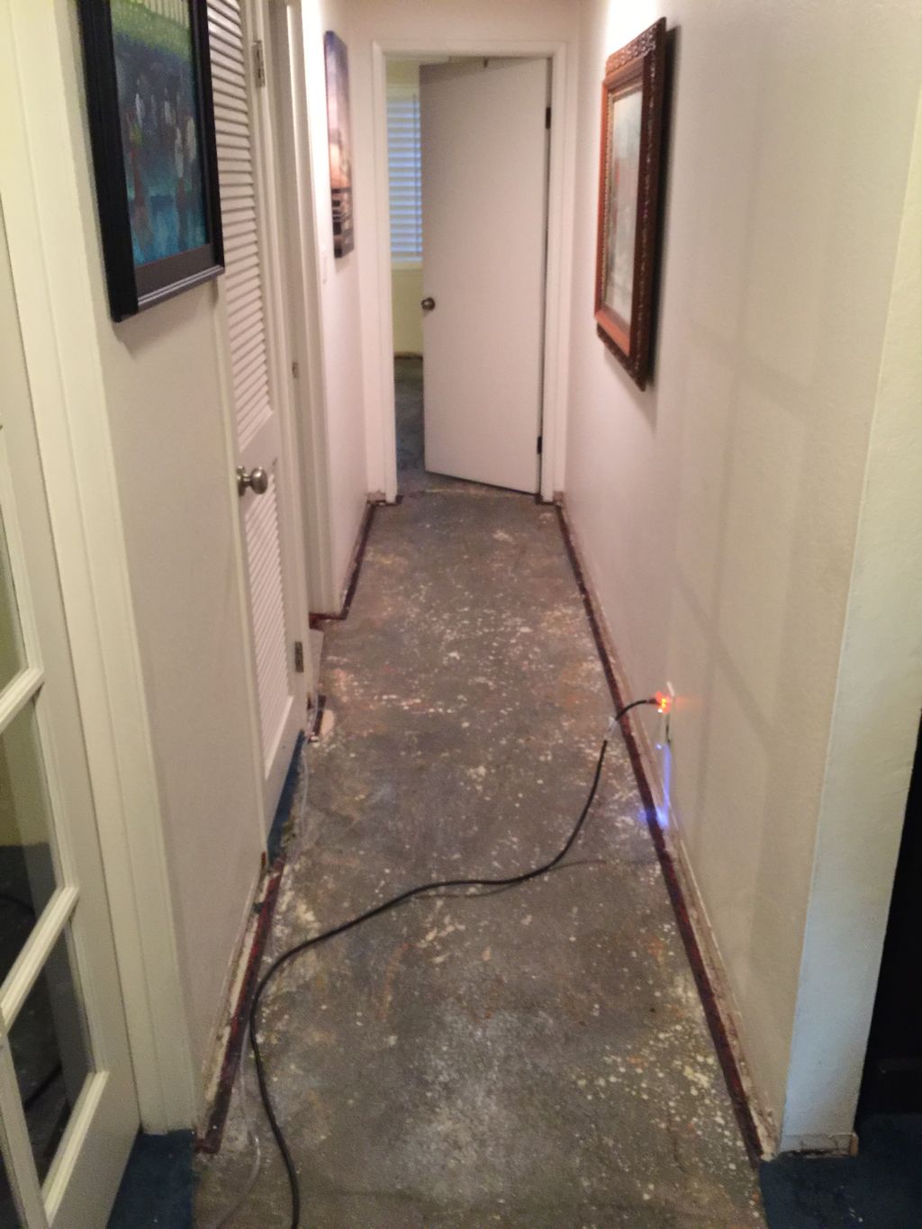 Water Damaged Carpet Removed
