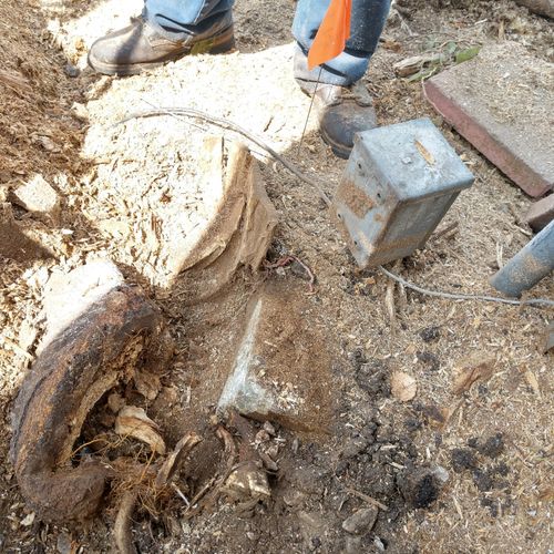 Removing the final pieces of the stump near Gas Li