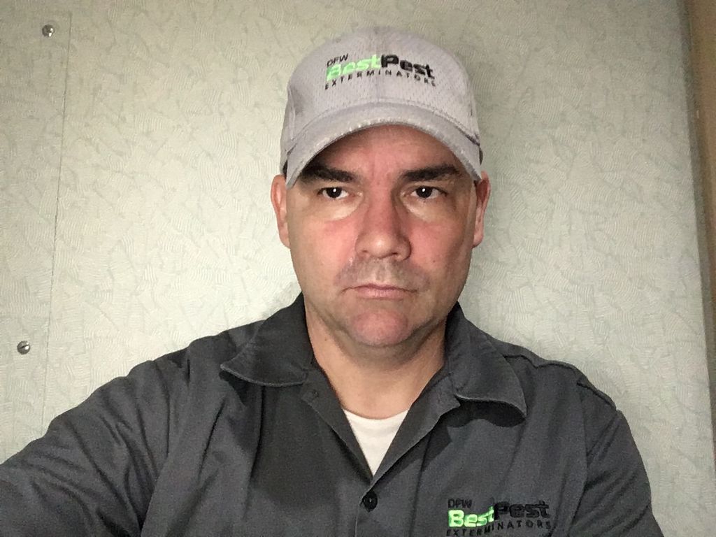 DFW Best Pest Exterminators