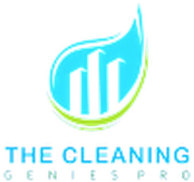 The Cleaning Genies Pro.
