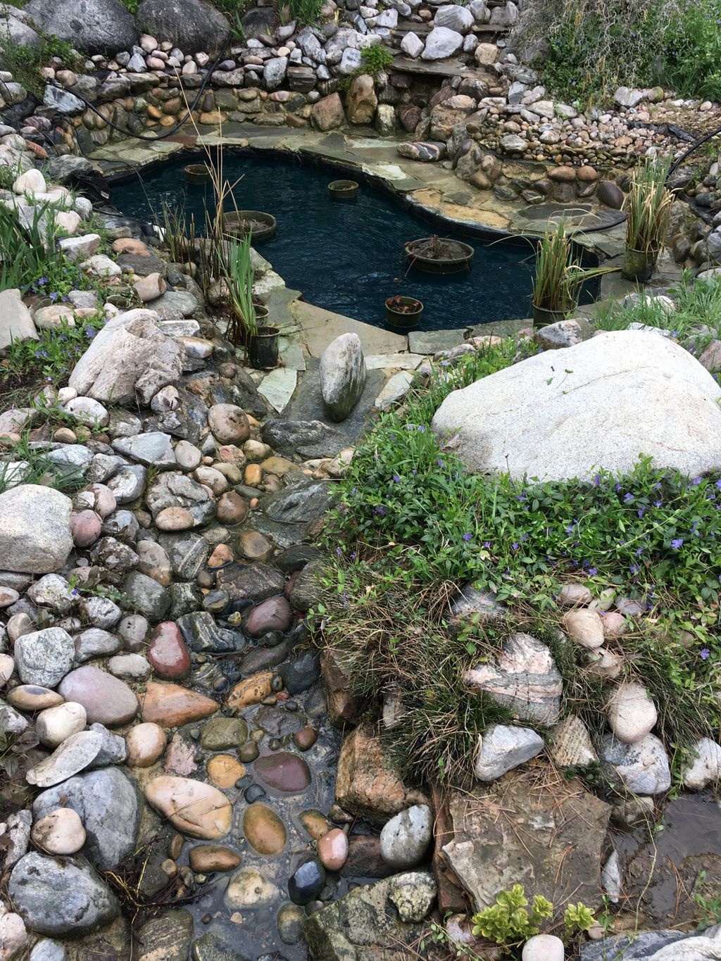 Store Pond (Being Filled)