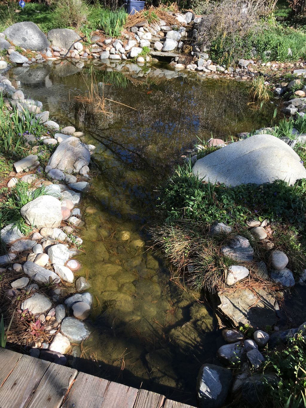 Store Pond (Spring Cleaning Time)