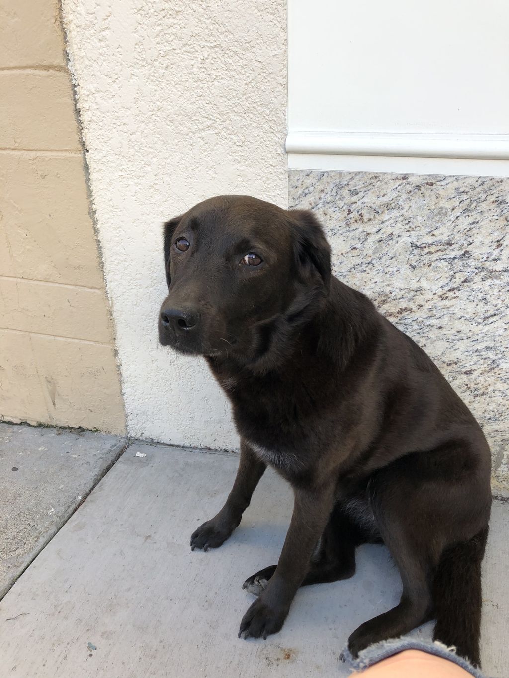 This is Faith, who lives around the corner from me
