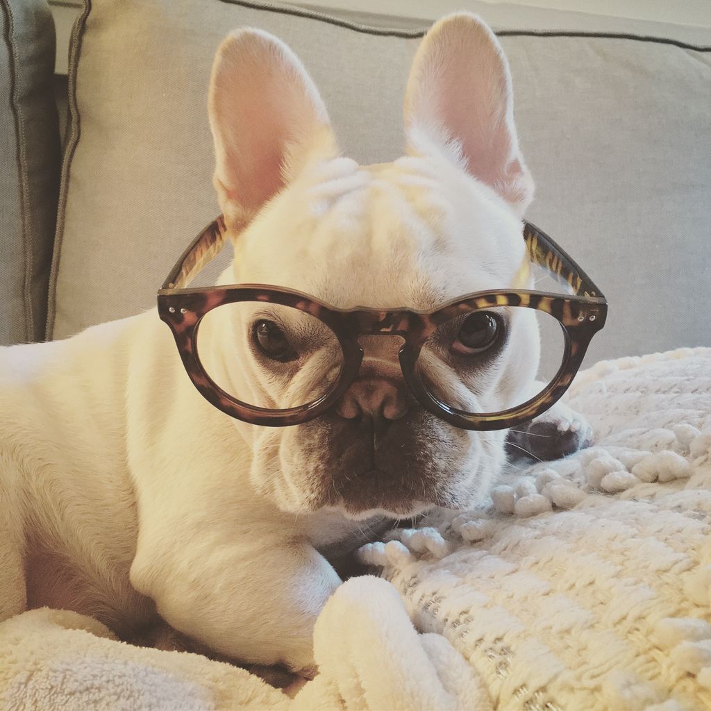 Another adorable pic of Rosie. She also lives arou