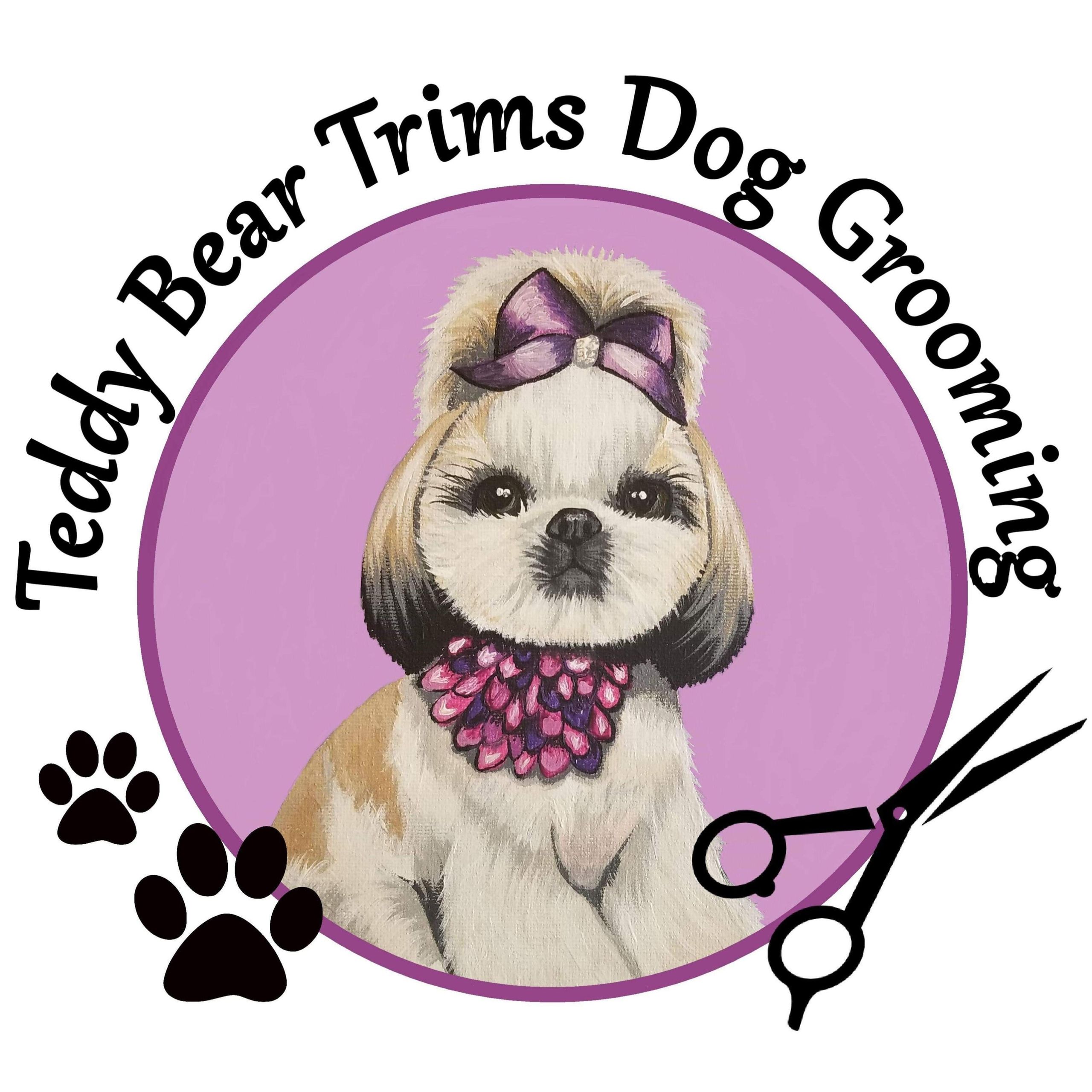 Teddy Bear Trims Dog Grooming Winston Salem, NC