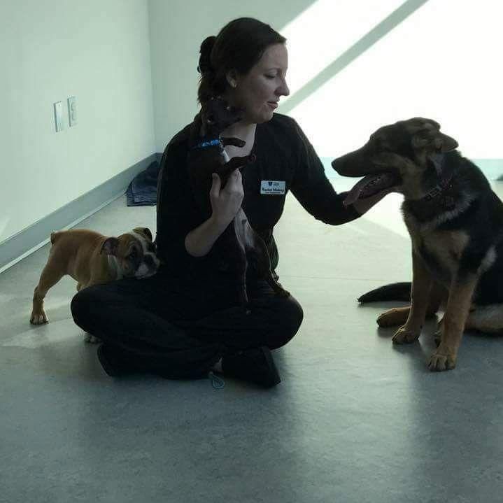 Pacific Animal Care