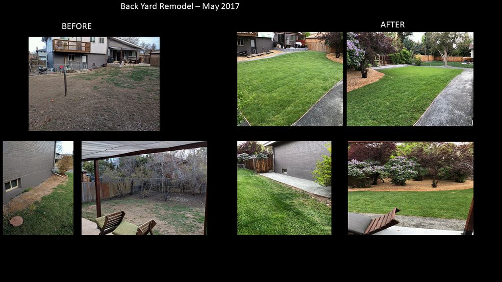 Projects and media