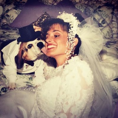Jenovi S Affordable Weddings Orlando Fl