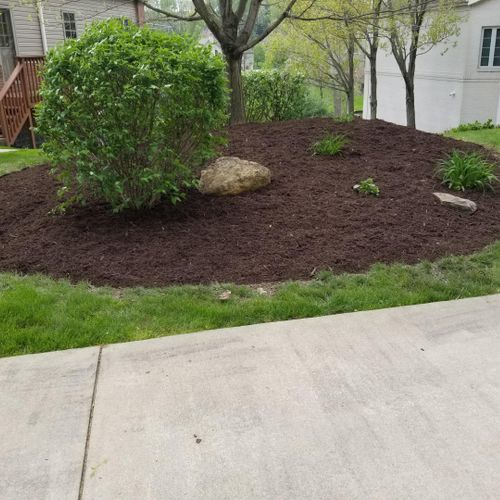Mulching, Edging,  Ground cover removal