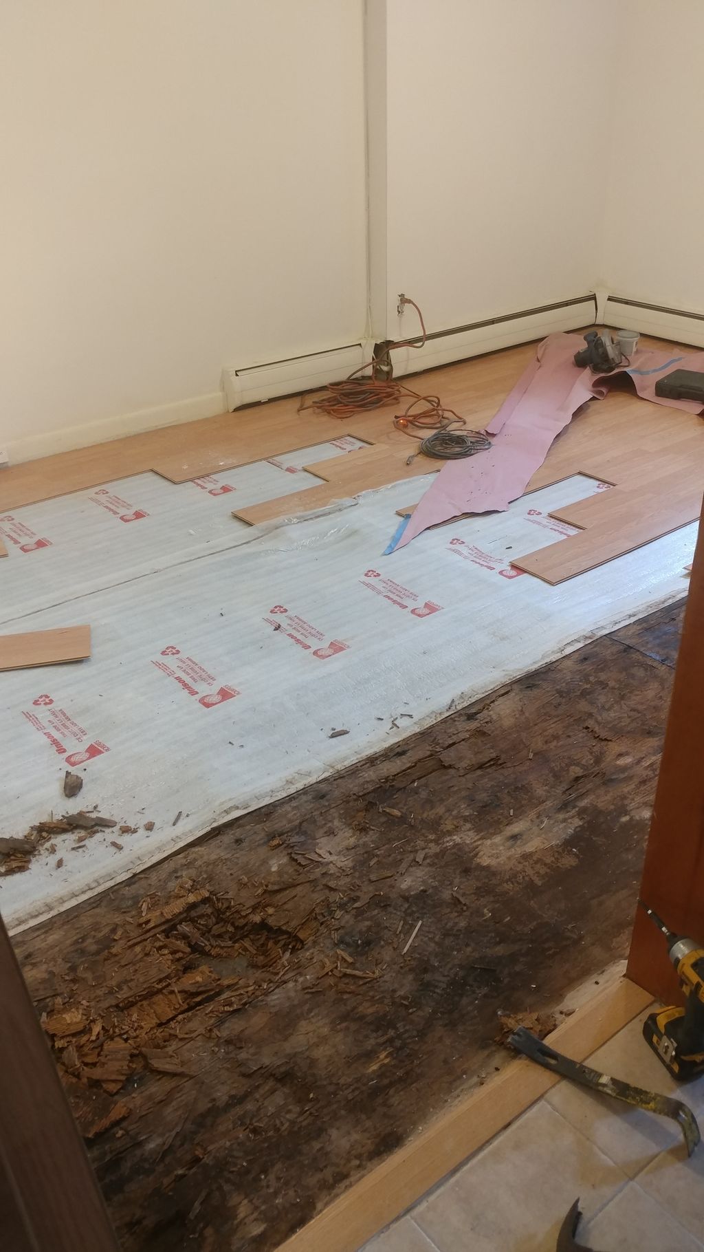Projects and media