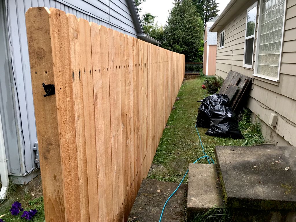 Customer photos