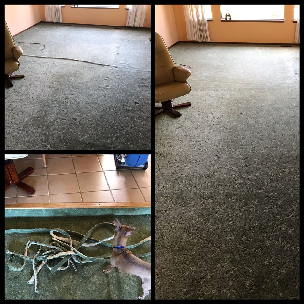 Carpet Repair or Partial Replacement