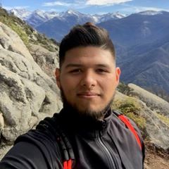 pro avatar