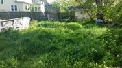 before initial mow