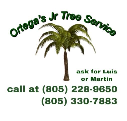 ORTEGA’S Jr tree services
